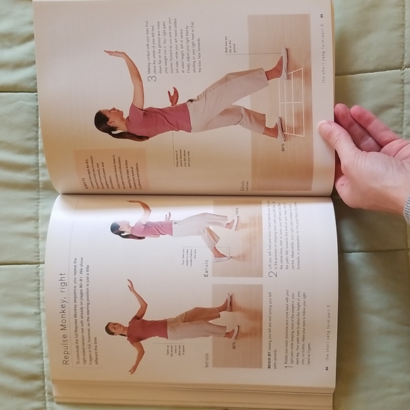 Tai Chi For Health & Vitality Short Yang Form By Robert Parry - Picture 6 of 7